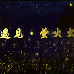 公益微电影：遇见萤火虫