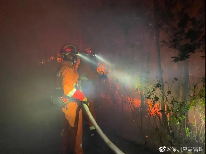 空地协同，高效指调 | 大疆协助扑救深圳南山山火